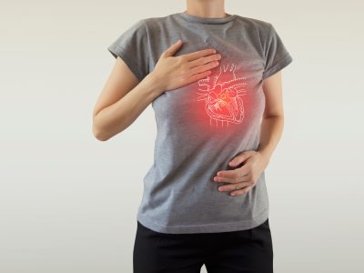 Budowa anatomiczna serca - nadrzędnego narządu układu krwionośnego.