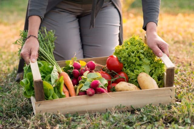 Jakie warzywa i owoce jeść? pobrano z 123rf.com